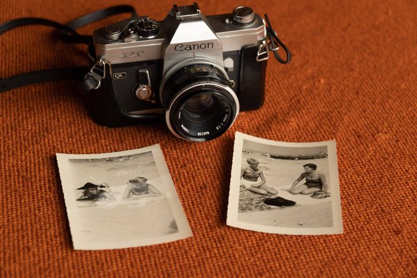 Les Landes : un lieu idéal pour les séances de photos en plein air